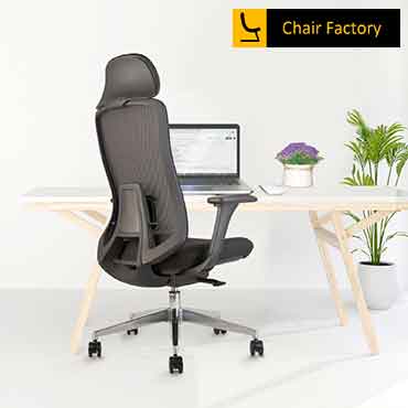 pelican black Ergonomic Office Chair