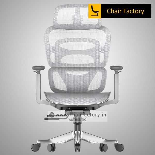Picture of MAXMILLION GREY HIGH END ERGONOMIC OFFICE CHAIR | Chair Factory