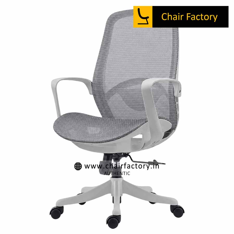 Seagull Grey MB