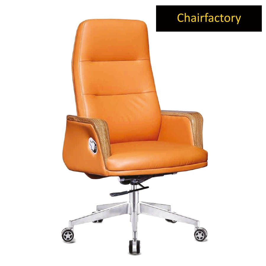 100 Genuine Italian Leather Orange, Italian Leather Chairs